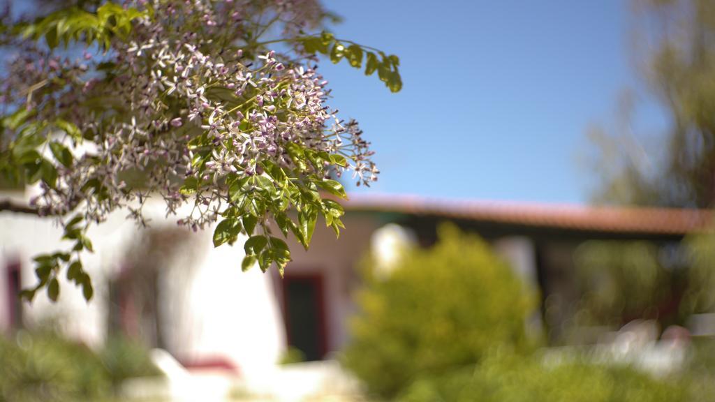 Casa Dos Mangues Guest House Sao Martinho do Porto Bagian luar foto