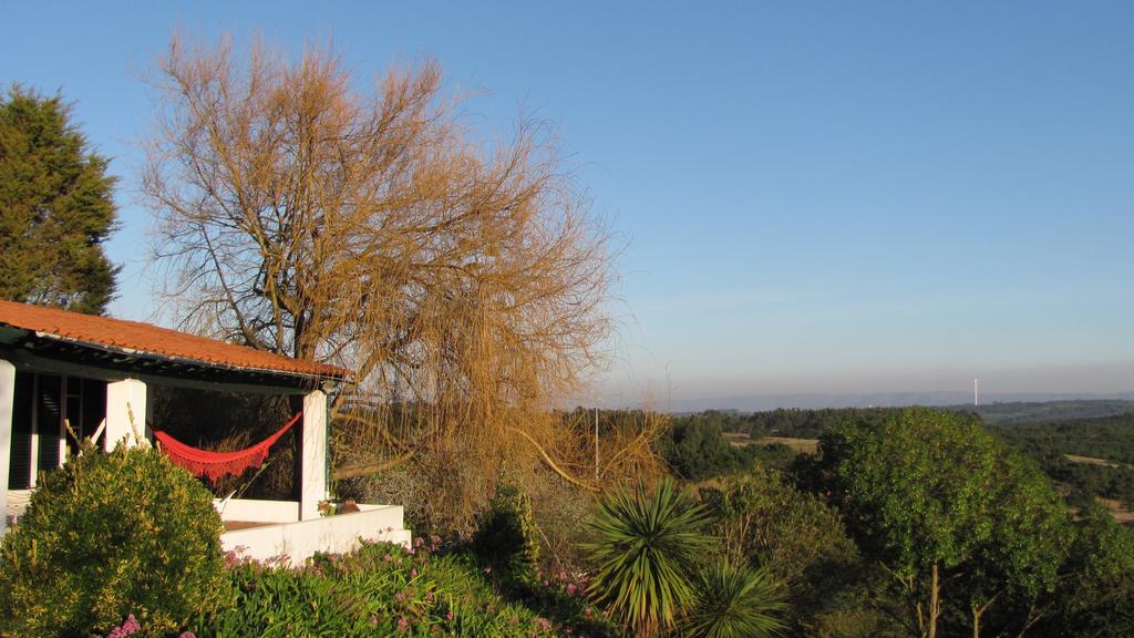 Casa Dos Mangues Guest House Sao Martinho do Porto Bagian luar foto